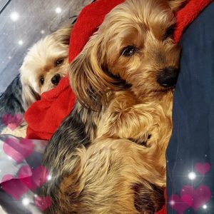 Meet your Posher, Debra